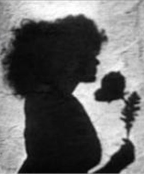 Meshes of the Afternoon