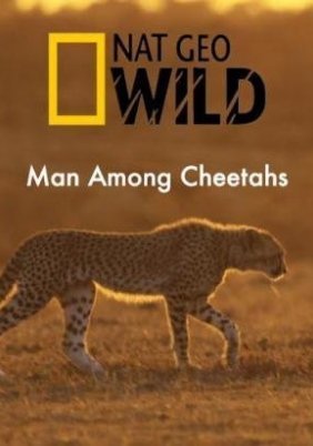 Άνθρωπος Ανάμεσα σε Τσιτάχ / Man Among Cheetahs (2017)