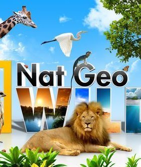 Nat Geo Wild Αδάμαστη Αμερική (2013)