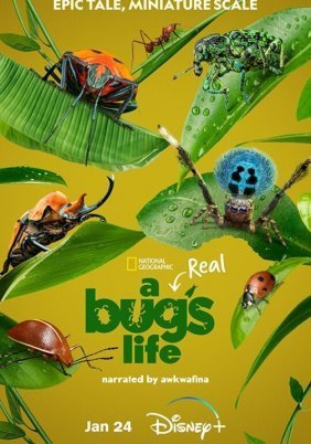 A Real Bug's Life / Ζουζούνια από Κοντά (2024)