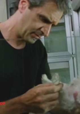 Pet Shop / Κατάστημα ζώων (2012) Short