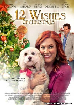 12 Wishes Of Christmas (2011)