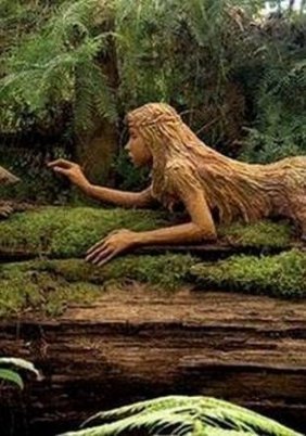 Η μυστική ζωή των φυτών.