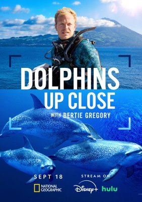 Dolphins Up Close with Bertie Gregory (2025)