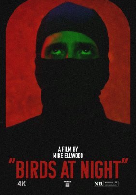Birds at Night (2024)
