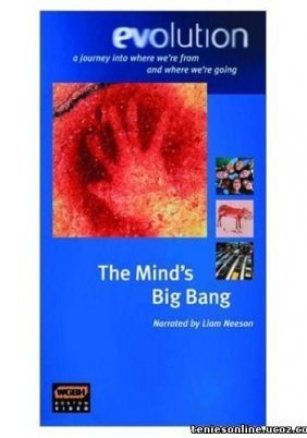 Το Μυστήριο του Νου / The Mind's Big Bang (2001)
