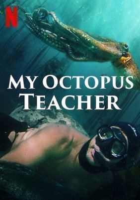 My Octopus Teacher (2020)