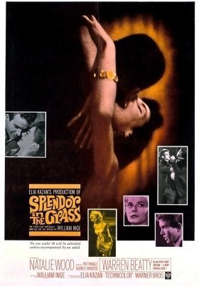 Πυρετός στο Αίμα / Splendor in the Grass (1961)