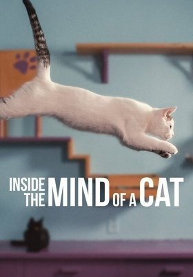 Inside the Mind of a Cat (2022)