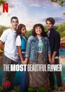 The Most Beautiful Flower / La flor más bella (2022)