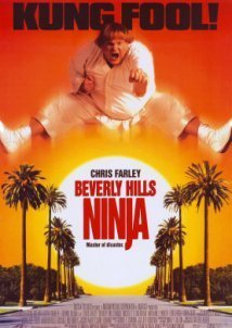 Beverly Hills Ninja (1997)