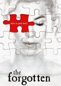 The Forgotten (2009–2010) TV Series