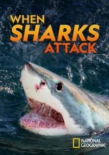 When Sharks Attack (2013)