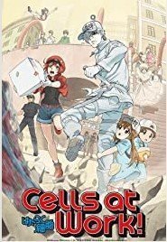 Cells at Work! / Hataraku Saibou (2018)