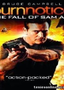 Burn Notice: The Fall of Sam Axe (2011)