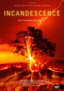 Incandescence (2024)