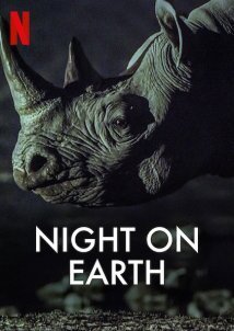 Night on Earth (2020)
