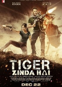 Tiger Zinda Hai (2017)