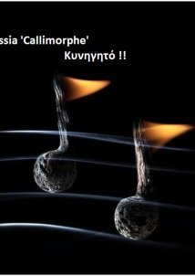 Nassia 'Callimorphe' - Νάσια (2011)