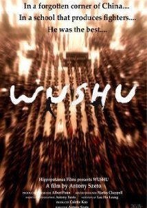 Wushu: The Young Generation (2008)