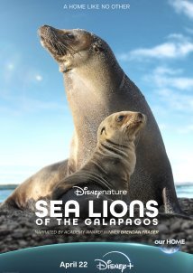 Sea Lions of the Galapagos / Θαλάσσια Λιοντάρια στα Νησιά Γκαλαπάγκος (2025)