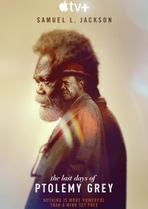 The Last Days of Ptolemy Grey (2022)