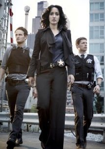 The Chicago Code (2011) Tv series