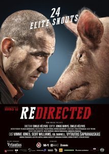 Redirected (2014)