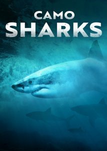 Camo Sharks (2022)