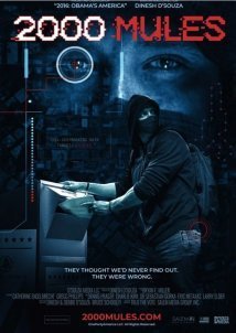 2000 Mules (2022)