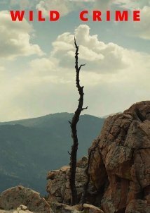 Αγριο Εγκλημα / Wild Crime (2021)